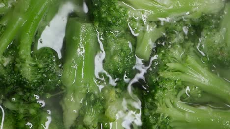 boiling broccoli: a close-up view of fresh broccoli florets cooking in water