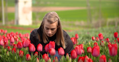 female researcher walking while examining tulips at field 12