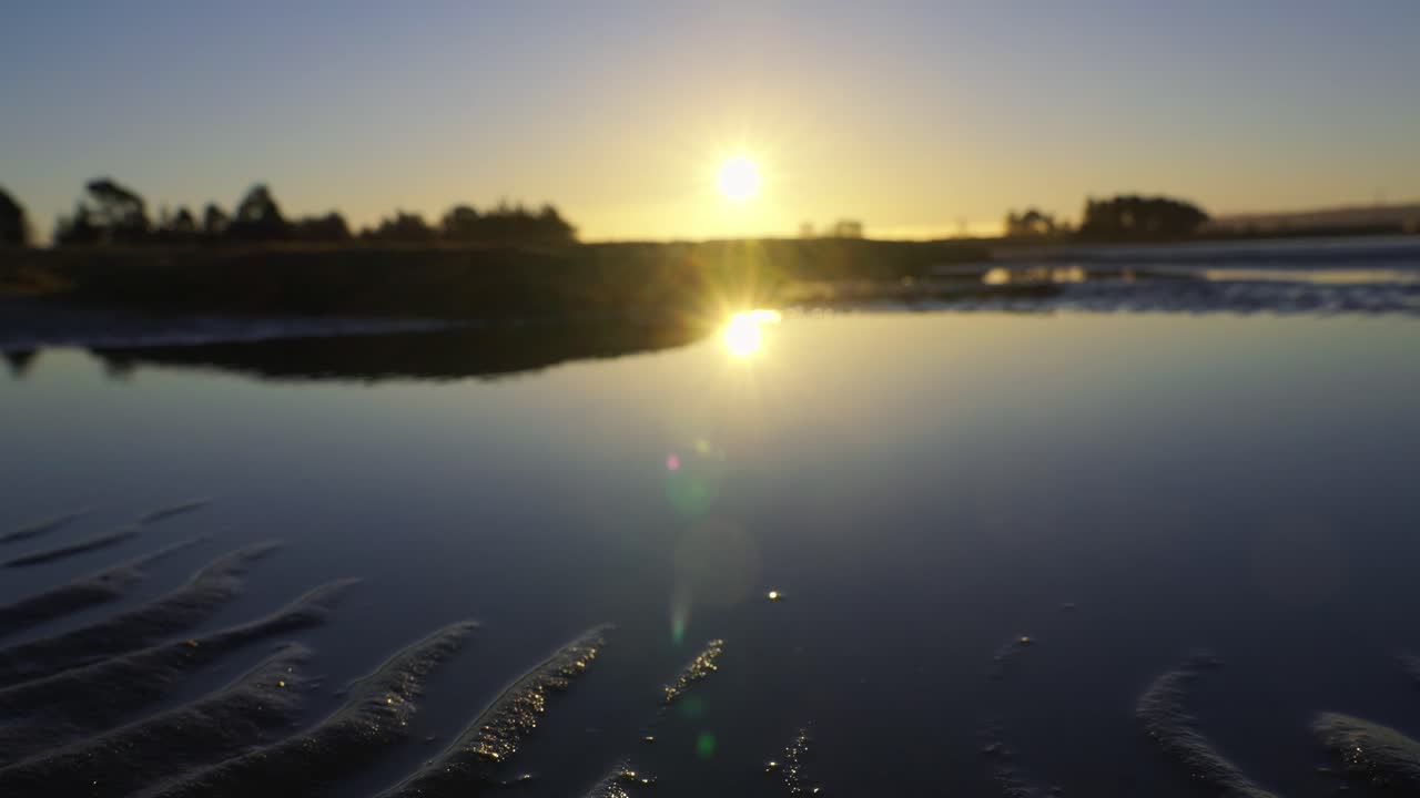 tiro inclinado hacia arriba de conchas marinas abiertas sobre arena mojada con el sol reflejado en el agua