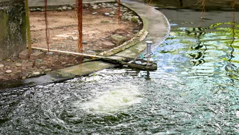 ripples and waves in a small pond