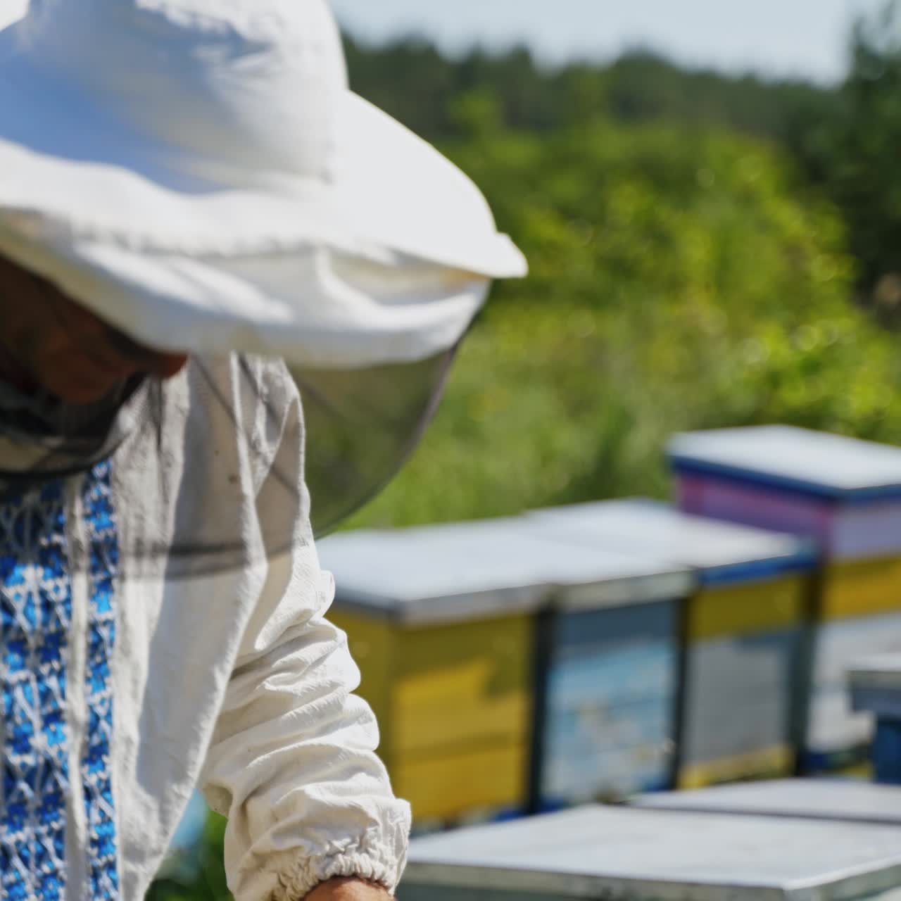 Beekeeper's work in summer. Professional apiarist working with chimney in the apiary among nature . Beekeeping process.