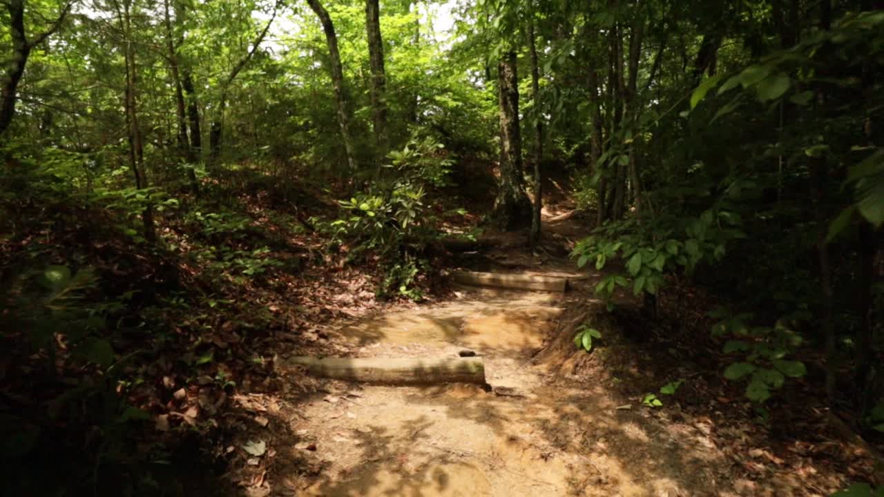 Nature Hike at Natural Bridge State Park, Kentucky