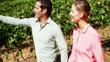 pareja feliz interactuando mientras caminan en el campo