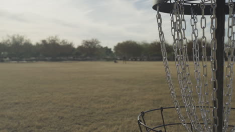 Disc-Golf-Basket-with-Man-and-his-Dog-in-the-Background