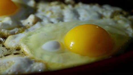 fresh egg frying on hot buttered pan surface in real time kitchen cooking scene