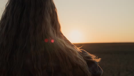 a young woman with long beautiful hair looks at the sunset over a field of wheat