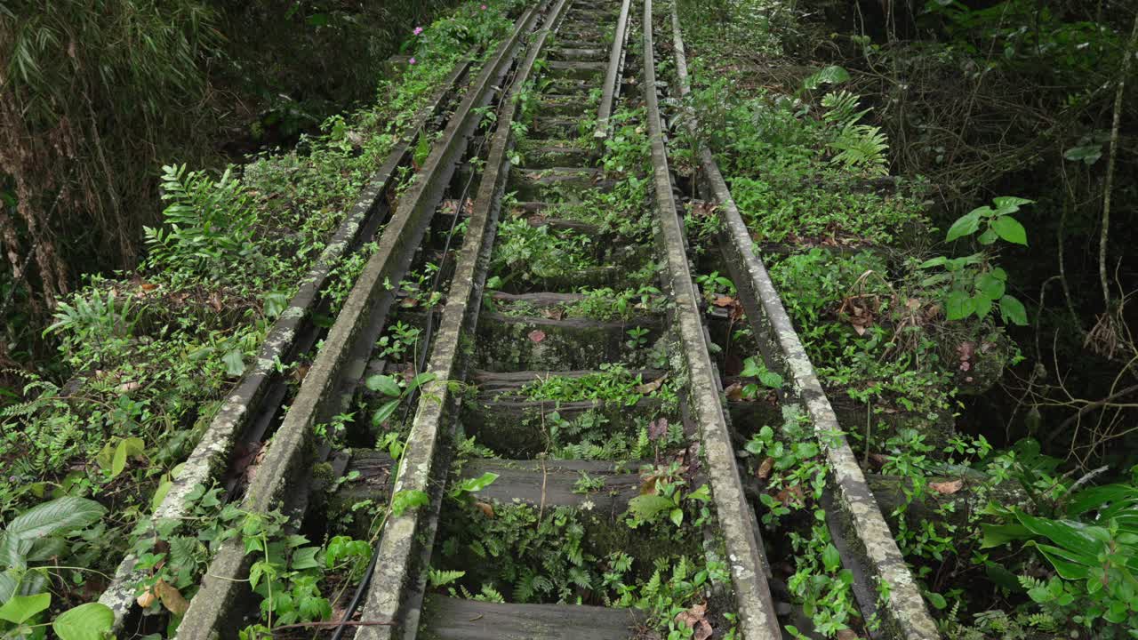 Abandoned railway track in South America reclaimed by nature in Colombia