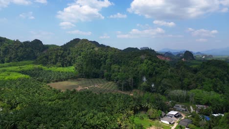 Tropical-landscape-karst-mountains-road-palm-trees