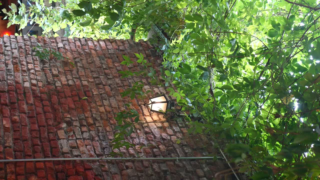 Brick wall with lantern and foliage
