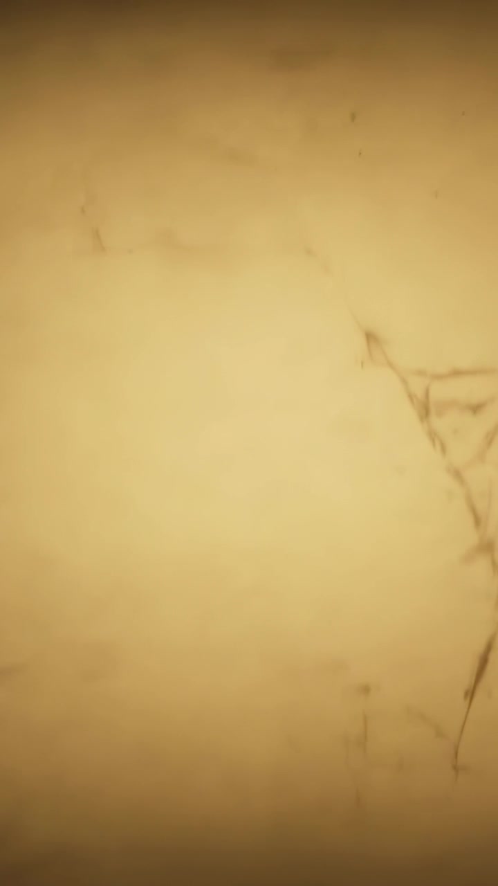 Video verticale: Telecamera in movimento che mostra una crepa su una parete intonacata in una stanza, rivelando macchie leggere.