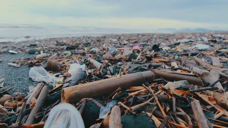 coast of worlds oceans is polluted by large plastic and polyethylene garbage