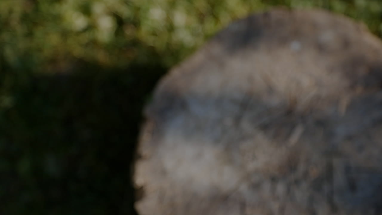 A man picks up the axe