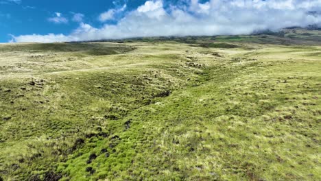 a sea of grass moving like water flowing over the mountain slopes of kahikinui, maui