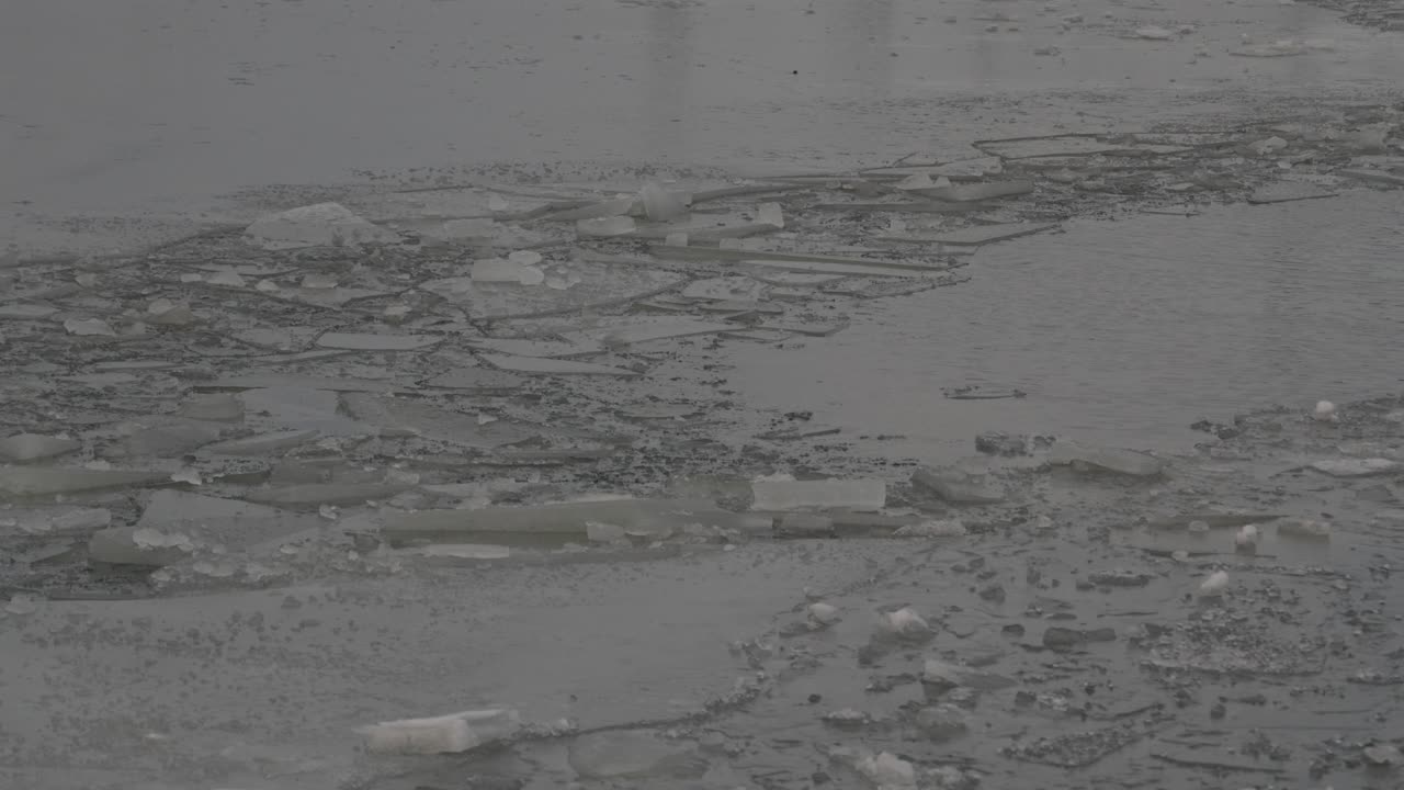 流氷に覆われた水面に風がさざ波を立てる