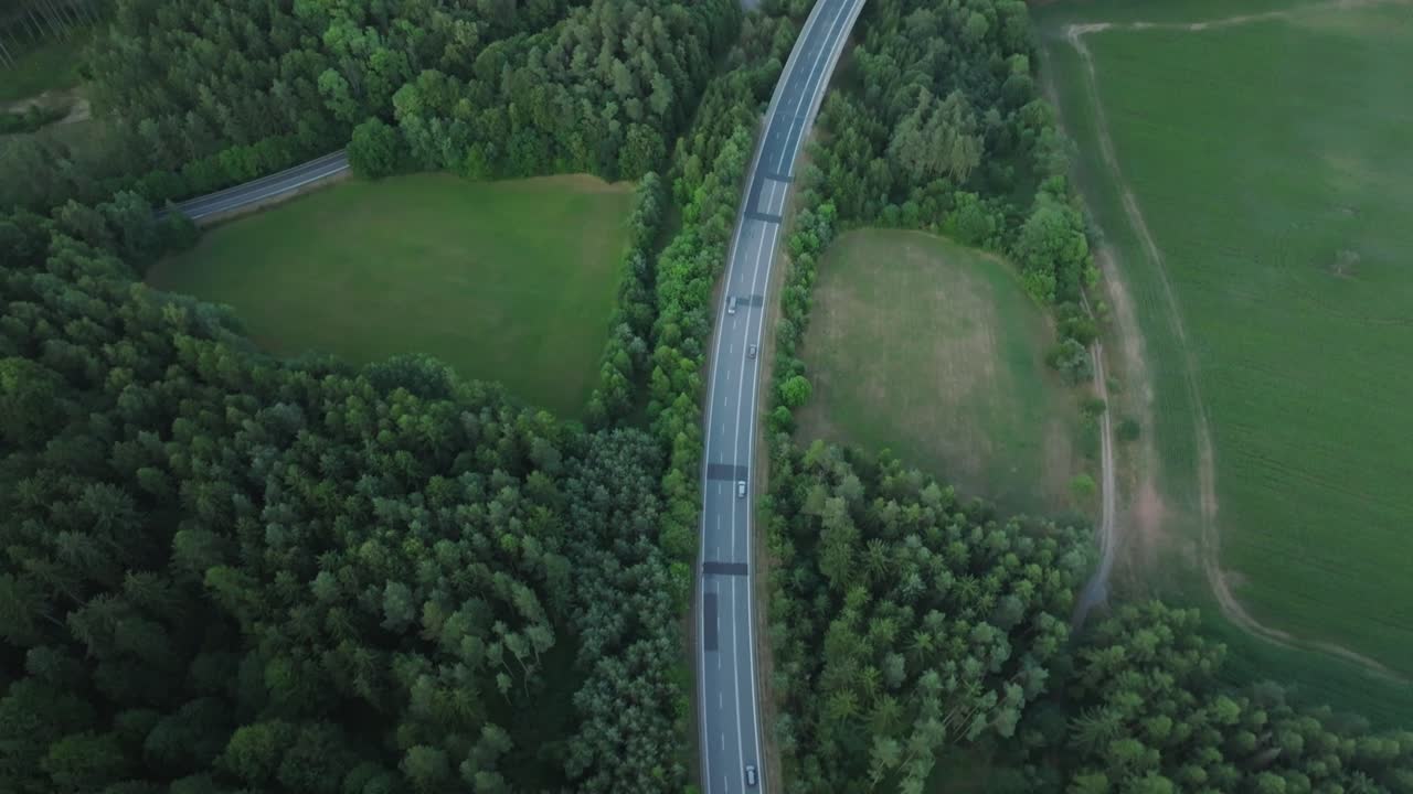여름에 푸른 숲으로 둘러싸인 도로를 지나가는 자동차