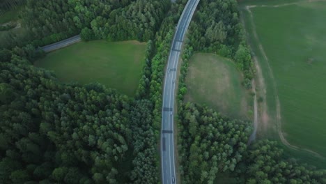 cars passing on a road surrounded by green forests in summer