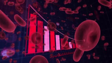 Animation-Von-Covid-19-Und-Roten-Blutkörperchen-Mit-Statistikaufzeichnung