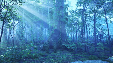 bosque lluvioso en américa central