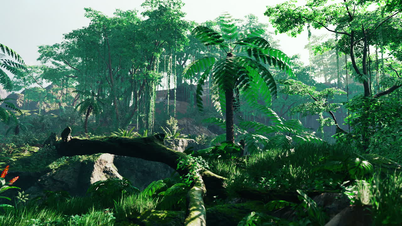 ⁇ 빛이 푸른 숲을 통해 빛납니다.