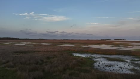 Sonnenuntergang-Luftaufnahme-Des-Sumpfes-In-Der-Nähe-Des-St.-Marks-State-Park