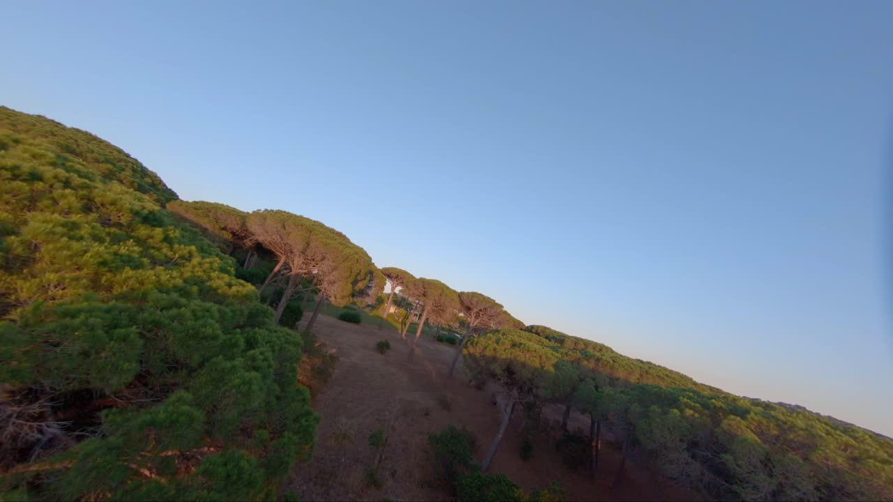 Ripresa aerea di alcune splendide cime di alberi e un'enorme villa immobiliare a St. Tropez, Francia.
