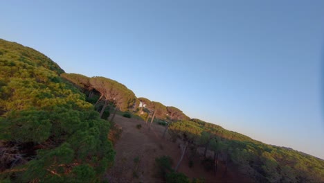 antena sobre algunas hermosas copas de los árboles y una enorme villa inmobiliaria en st tropez, francia