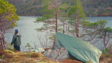 a man and his dog camp by the shores of kattavatnet lake in roan, trøndelag, norway - static shot