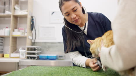 Veterinario-De-Gatos,-Cliente-Y-Mujer-Con-Estetoscopio