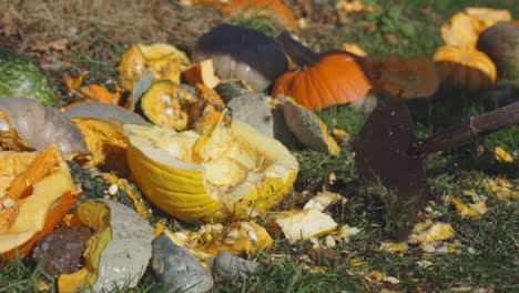 slow motion close up of man swinging hoe to destroy rotten pumpkins and gourds after halloween smashing seeds and yellow pumpkin pieces into the air