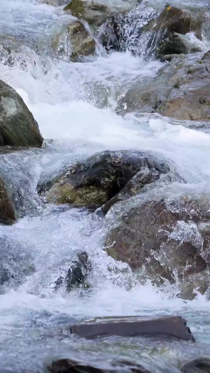 Acqua limpida di ruscello di montagna scorre impetuosa su grandi rocce frastagliate alla luce del giorno. La telecamera rimane ferma, catturando il movimento dinamico dell'acqua e le texture naturali.