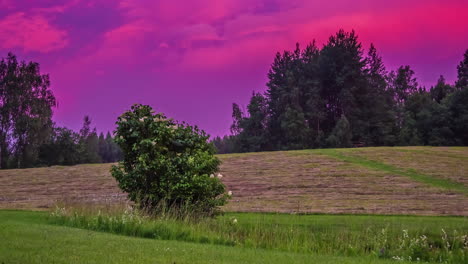 lapso de tiempo de un cielo púrpura durante el amanecer y el paisaje de los campos