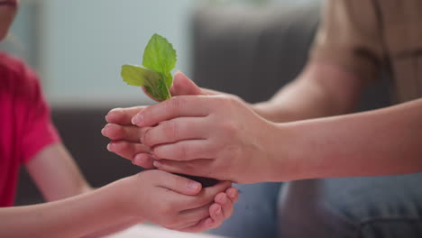 mother-passes-a-small-sprout-of-a-flower-into-the-hands