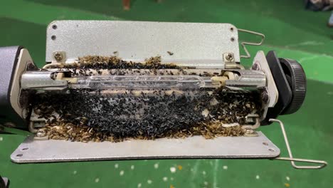 moscas y mosquitos quemados en el filamento de una luz porta que se mantiene en un fondo verde