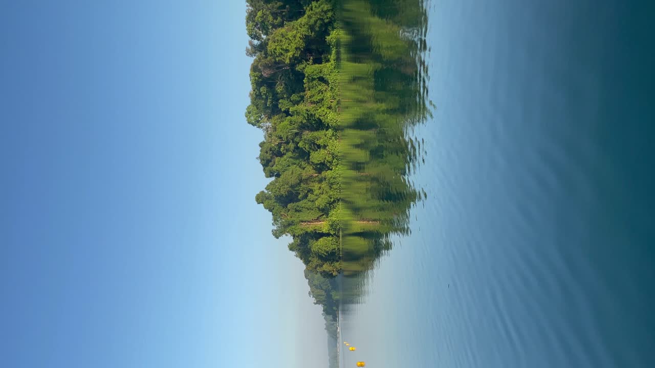 video vertical - reflejo de árboles y vegetación en el embalse macritchie, singapur