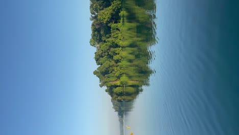 vertical video - reflection of trees and vegetation on macritchie reservoir, singapore