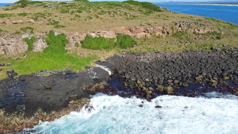 海浪在夏天在岩石海岸上<unk>, 雀鳥在飛翔