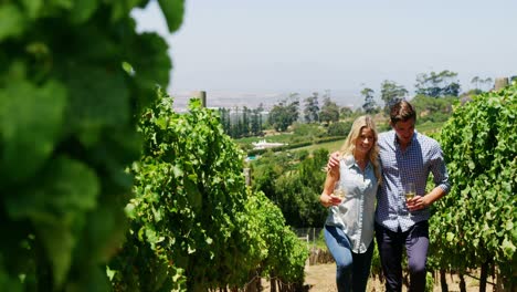 romantic couple with wine glasses walking through vineyard