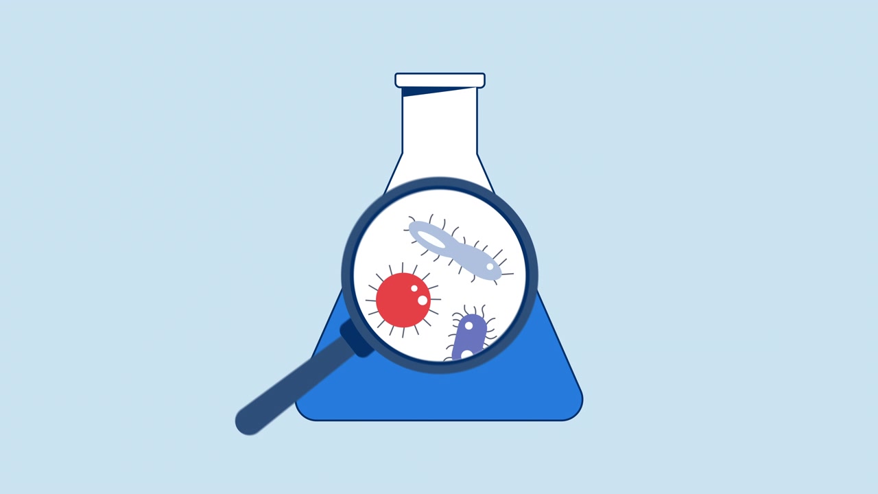 Animated Laboratory Flask with Magnifying Glass Examining Bacteria