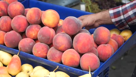 peaches and pears at the market