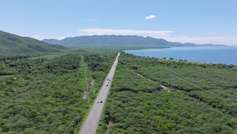 scenic long road through tropical rainforest lane on caribbean island, drone