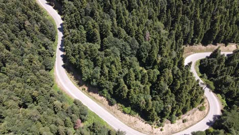 imágenes de drones de la carretera en zigzag entre el bosque
