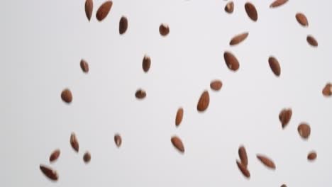 nueces de almendra enteras y crudas lloviendo sobre fondo blanco en cámara lenta