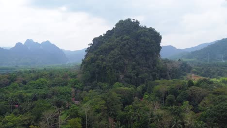 un dron giratorio aéreo del paisaje selvático del parque nacional khao sok, con casas escondidas bajo los árboles en tailandia, en el continente asiático en un día nublado