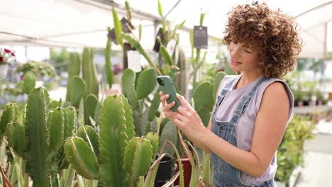 happy female photographing cactus plant with cellphone in greenhouse