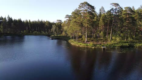 Drohnenaufnahmen-Eines-Schwedischen-Waldsees-Im-Goldenen-Stundenlicht