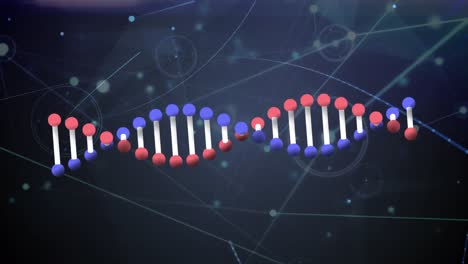 animación de la estructura del adn girando sobre una red de conexiones y puntos de luz.