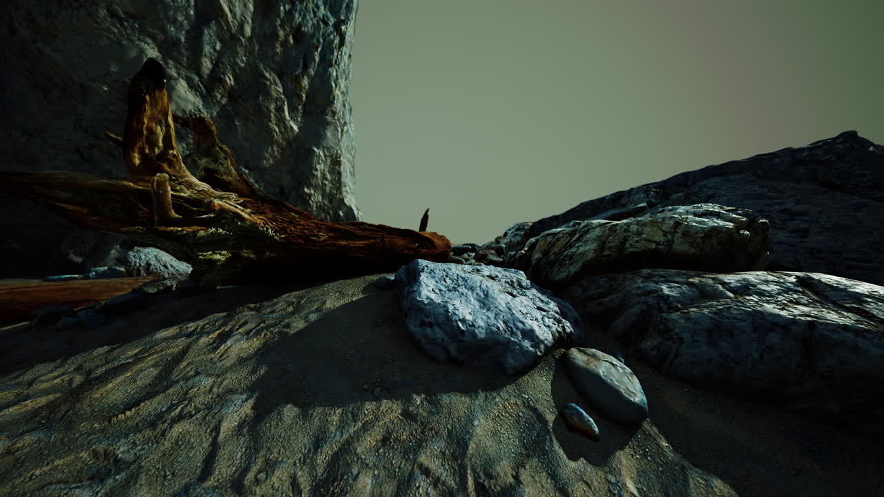 hiperlapso de playa rocosa con árboles muertos