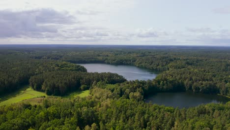 Vista-Aérea-Ascendente-Con-Vistas-A-La-Vasta-Región-Boscosa-Del-Desierto-Y-Al-Lago