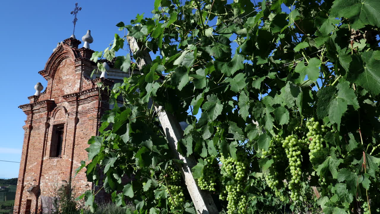 a small old church close to vineyards in Monferrato Italy