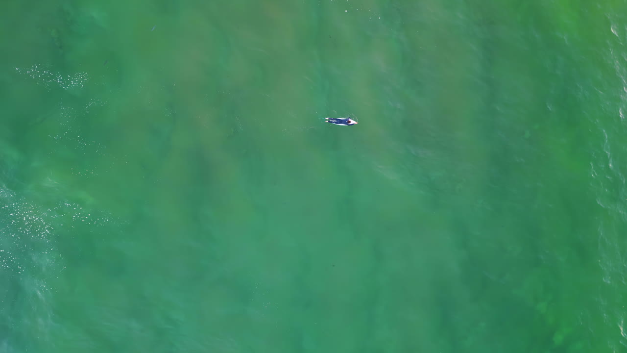 완벽한 바다 파도를 기다리는 서프보드에서 헤엄치는 외로운 서퍼.